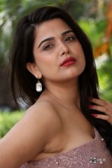 Ayesha Singh at Yedu Chepala Katha Movie Prees Meet